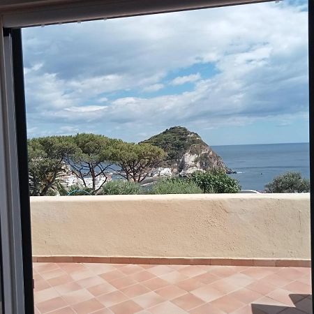 Bed and Breakfast Parco Termale Tropical Ischia Island Exteriér fotografie