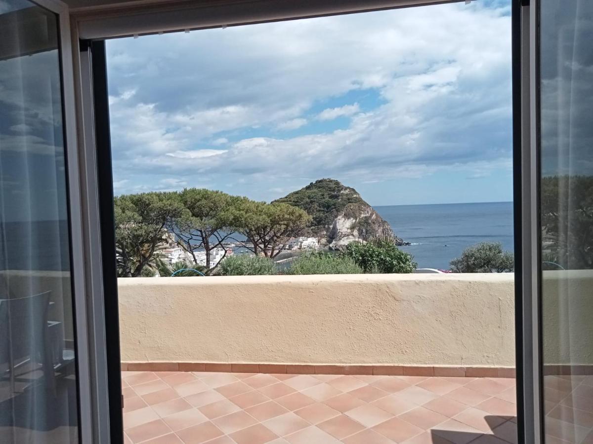 Bed and Breakfast Parco Termale Tropical Ischia Island Exteriér fotografie